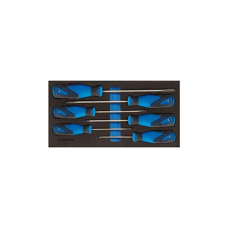 Gedore 2309149 Screwdiver set in 1/3 Check-Tool module