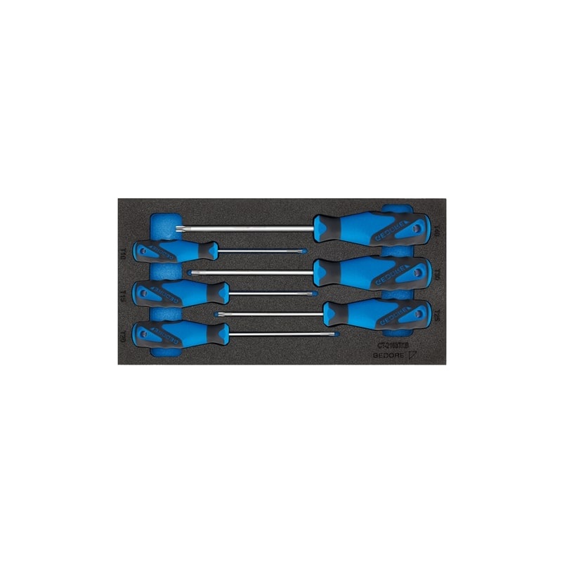 Gedore 2309165 Screwdiver Set In 1/3 Check-Tool Module